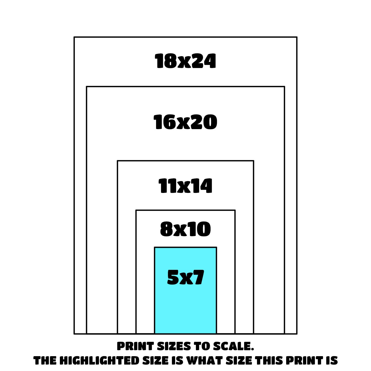 5x7_SizeGuy_3024x.jpg?v=1774634566